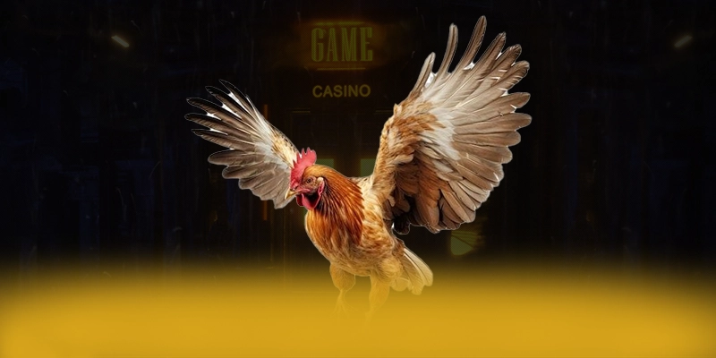 
Khám phá ngay Uk88 - Cổng game bài được tin dùng số 1 Việt Nam
