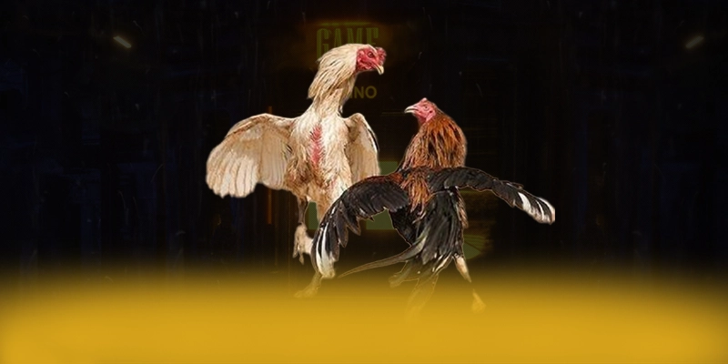 Uk88 - Khẳng định vị thế dưới góc nhìn chuyên môn.