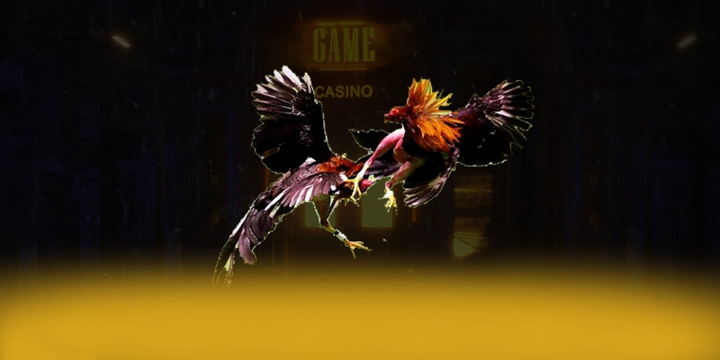 KUWIN - Cổng game mang đến trải nghiệm giải trí đỉnh cao trong cộng đồng game thủ – Trải nghiệm siêu phẩm độc quyền tại KUWIN KUWIN - Cổng game mang đến trải nghiệm giải trí đỉnh cao trong cộng đồng game thủ – Trải nghiệm siêu phẩm độc quyền tại KUWIN