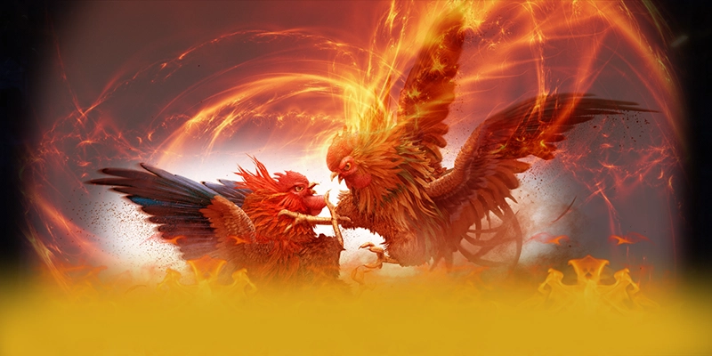 DAGA88 - Cổng giải trí phổ biến hàng đầu được quan tâm hàng đầu