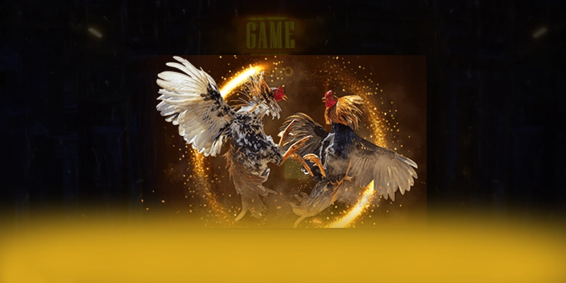 DAGA88 – Cổng game an toàn tuyệt đối, được cộng đồng đánh giá tích cực.