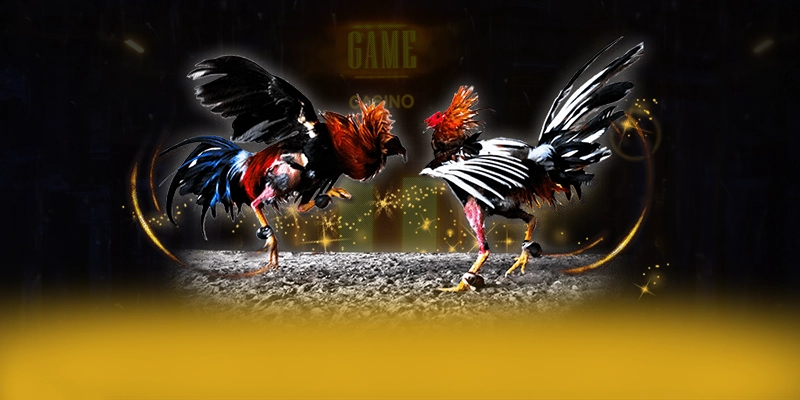 SA88 – Cổng game bài phổ biến nhất, khẳng định vị thế hàng đầu tại Việt Nam.