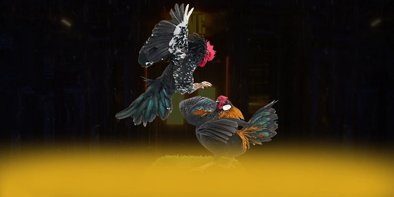 DAGA88 - Sảnh game bảo mật cao được đánh giá cao – Tìm hiểu DAGA88