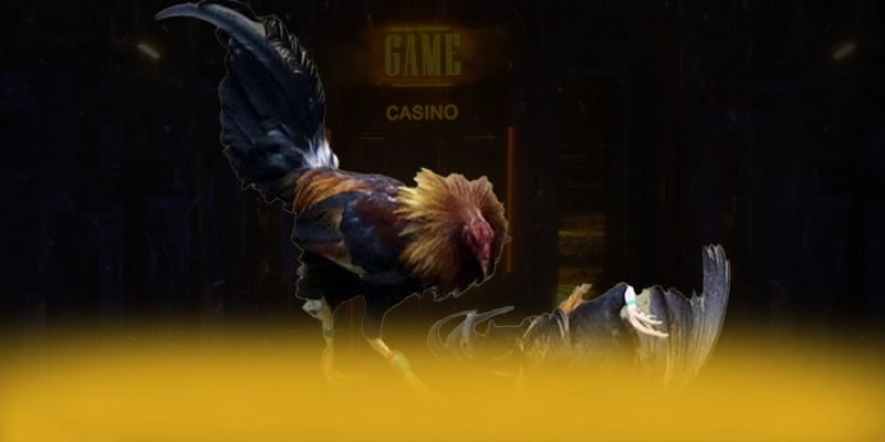 UU88 - Tổng quan về thương hiệu một cách chi tiết.