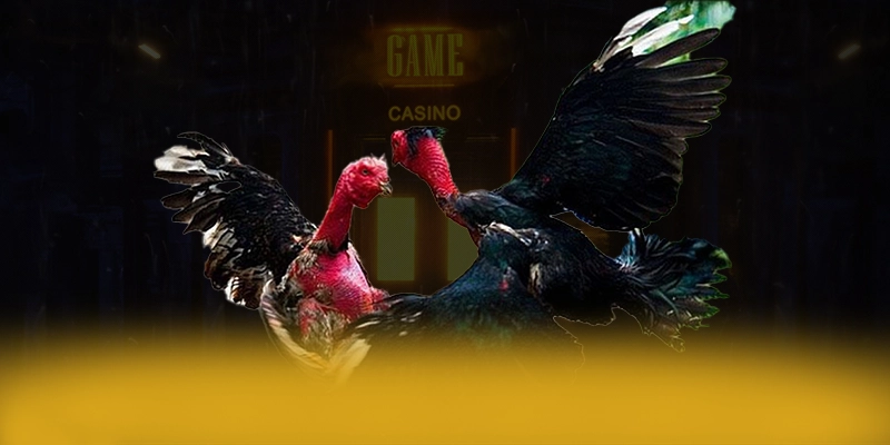 DAGA88 - Cổng game hấp dẫn tại Việt Nam – Săn ngay DAGA88