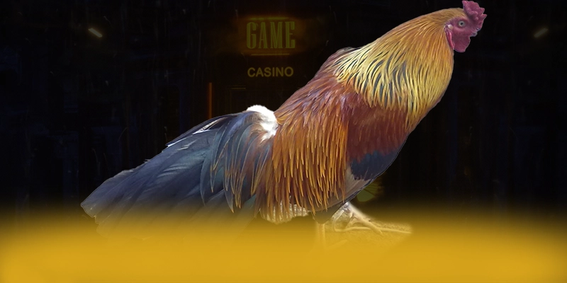 Vinbet - Sảnh game hấp dẫn tại Việt Nam – Khám phá chi tiết Vinbet Vinbet - Sảnh game hấp dẫn tại Việt Nam – Khám phá chi tiết Vinbet