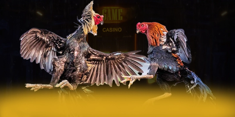 LC88 - Cổng giải trí được game thủ tin tưởng tại Việt Nam