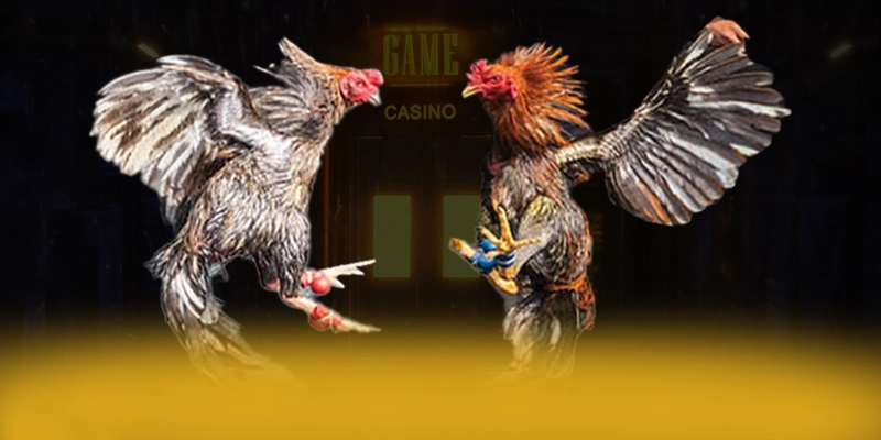 DAGA88 - Cổng game bài với hệ thống bảo mật hiện đại hiện nay – Đánh giá chi tiết về DAGA88