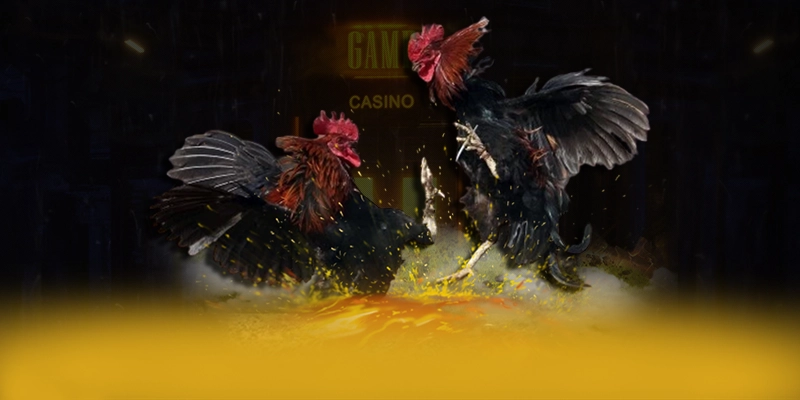 Vinbet - Tóm tắt nội dung dành cho người chơi. Vinbet - Tóm tắt nội dung dành cho người chơi.