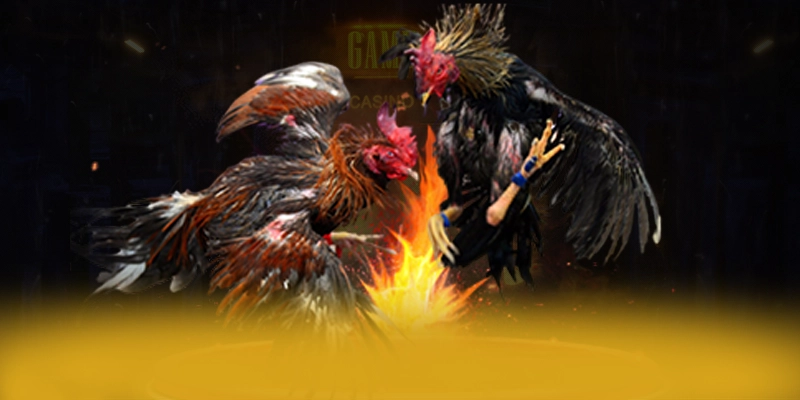 Lu88 - Sân chơi hiệu năng vượt trội tại Việt Nam Lu88 - Sân chơi hiệu năng vượt trội tại Việt Nam