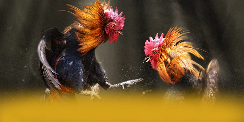 GA6789 - Trang game tối ưu được yêu thích nhất