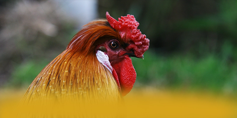 [THUONG_HIEU] - Thương hiệu sở hữu top trò chơi nổi bật hiện nay – Khám phá danh mục giải trí của [THUONG_HIEU]