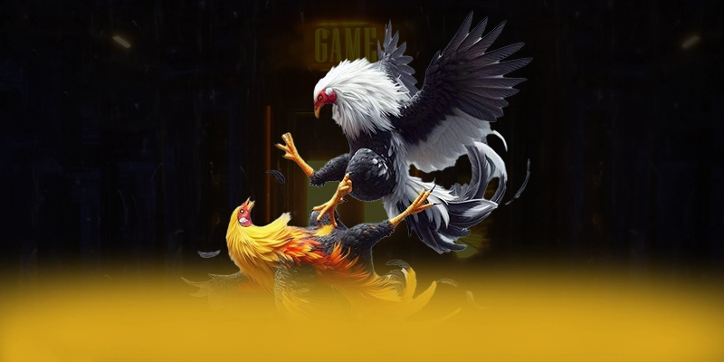 BL555 – Sảnh game có thưởng lớn, đang làm mưa làm gió trên thị trường.