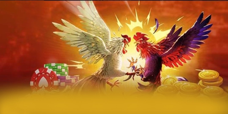 NK88 - Nhìn lại toàn bộ ưu điểm theo đánh giá từ người dùng.