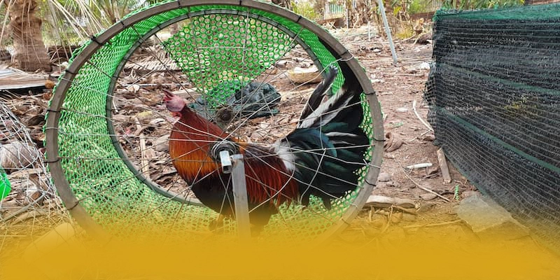 AU88 - Cổng game bài đạt chuẩn quốc tế trên thị trường – Đánh giá chi tiết về AU88